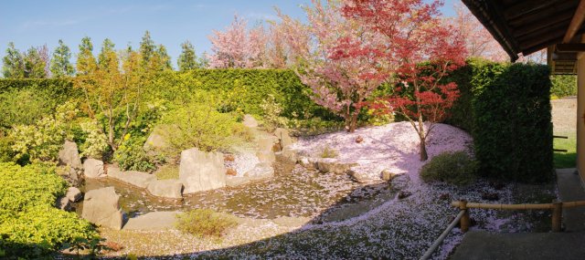 Japanischer Garten - Gärten der Welt